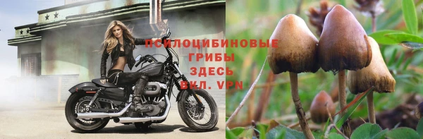 спиды Снежинск