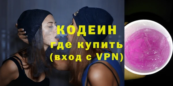 хмурый Снежногорск