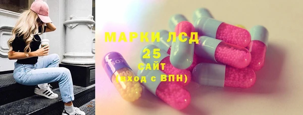 хмурый Снежногорск